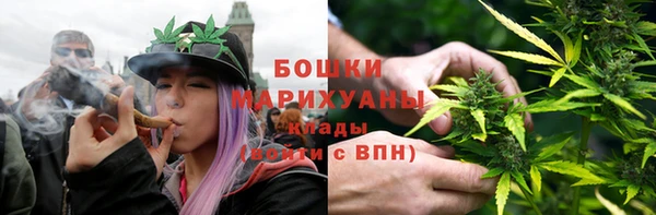 сатива Бородино