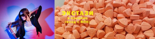 сатива Бородино