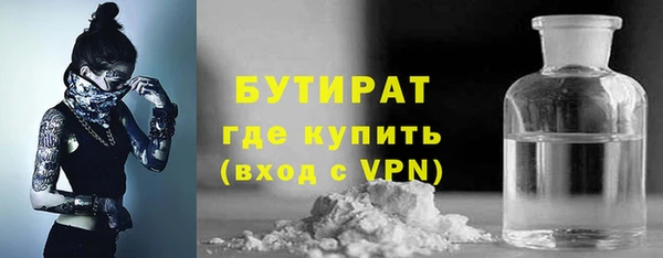сатива Бородино