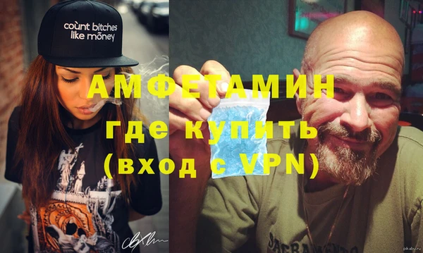 сатива Бородино