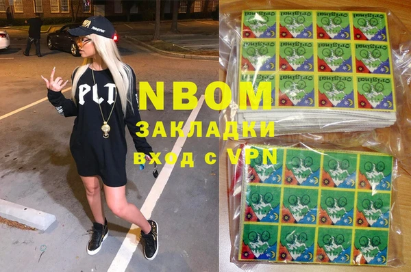 сатива Бородино
