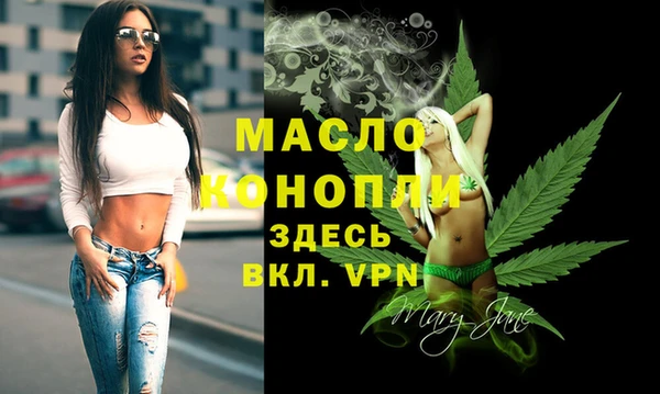сатива Бородино