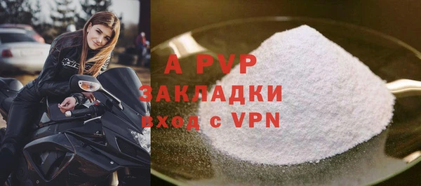 сатива Бородино